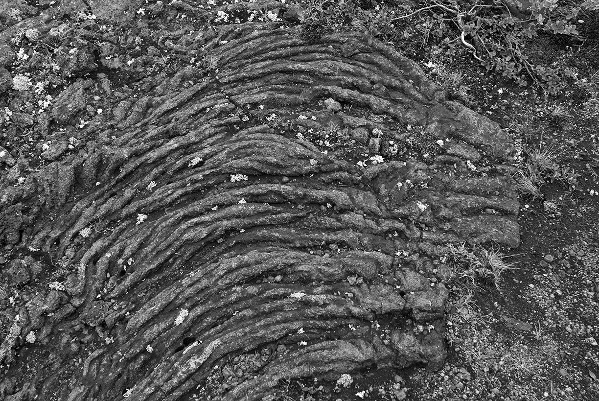 %_tempFileNameISLAND%20-%20197%