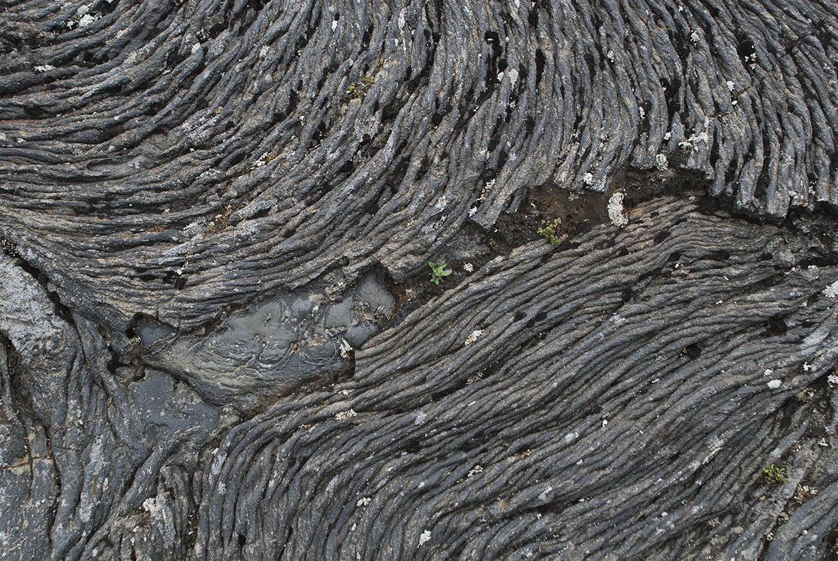 %_tempFileNameISLAND%20-%20213%